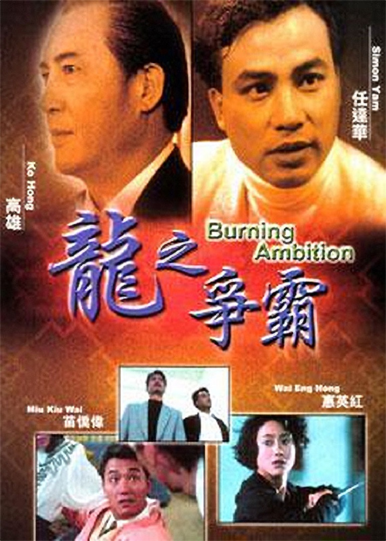 龙之争霸海报
