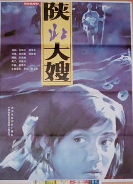 陕北大嫂海报