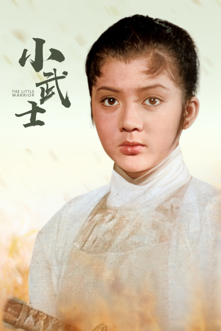 小武士海报