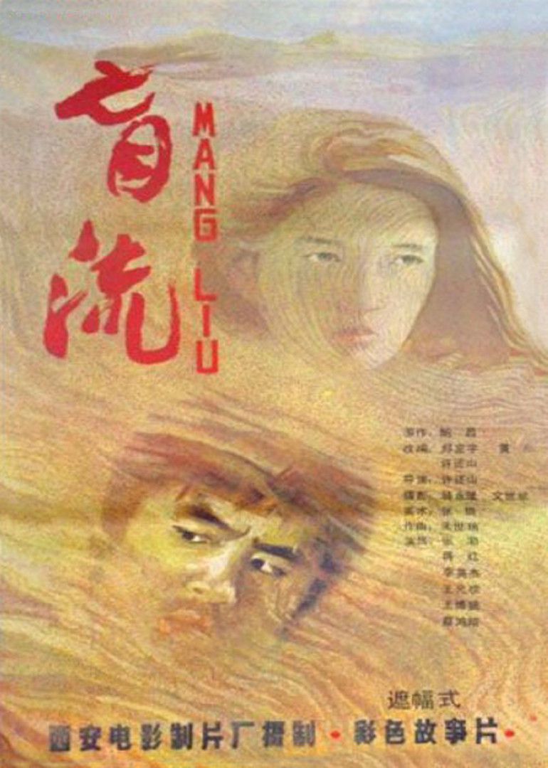 盲流海报