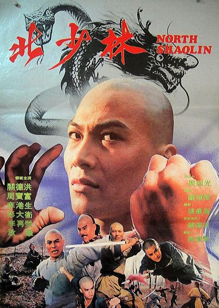 北少林南跆拳海报