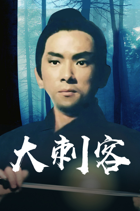 大刺客海报