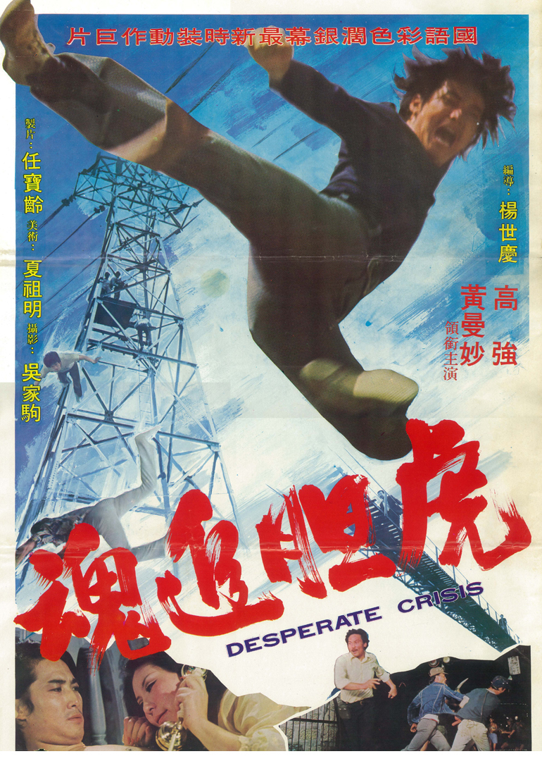虎胆追魂海报
