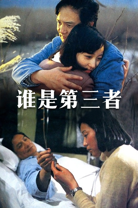 谁是第三者海报