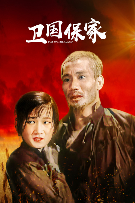 卫国保家海报