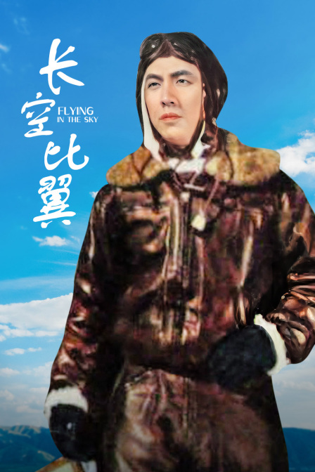 长空比翼海报