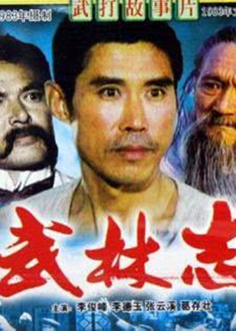 武林志海报