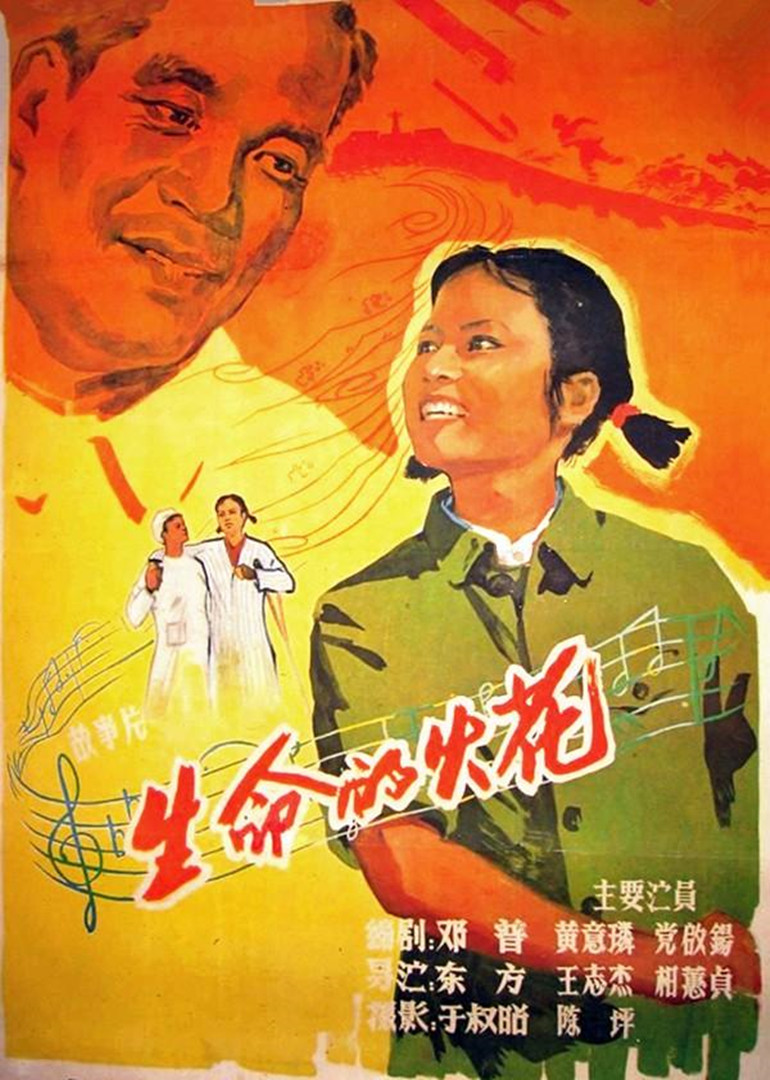 生命的火花海报