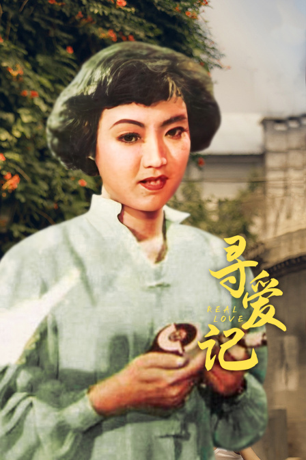 寻爱记海报