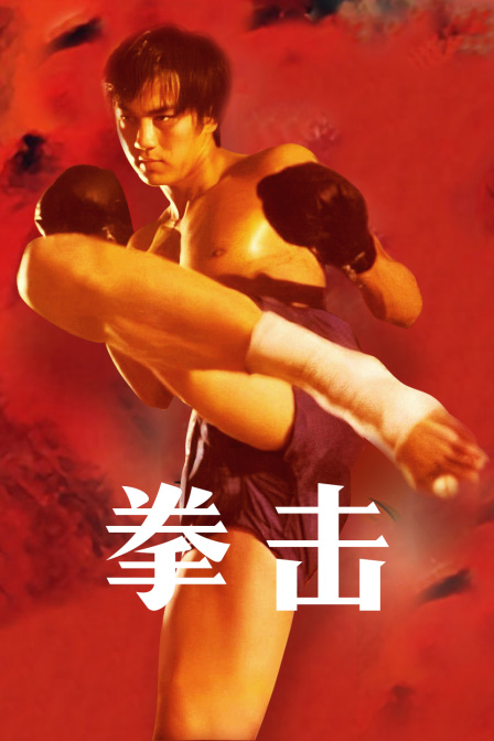拳击海报