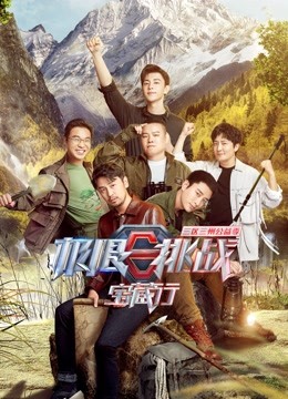 极限挑战宝藏行海报