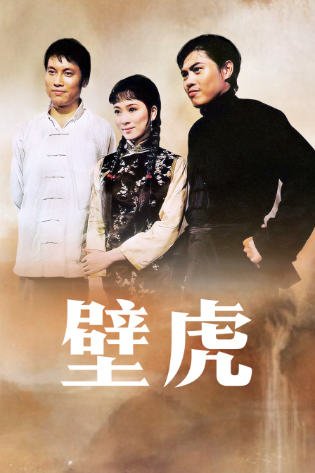 壁虎海报