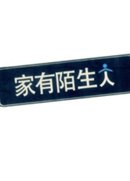 家有陌生人海报