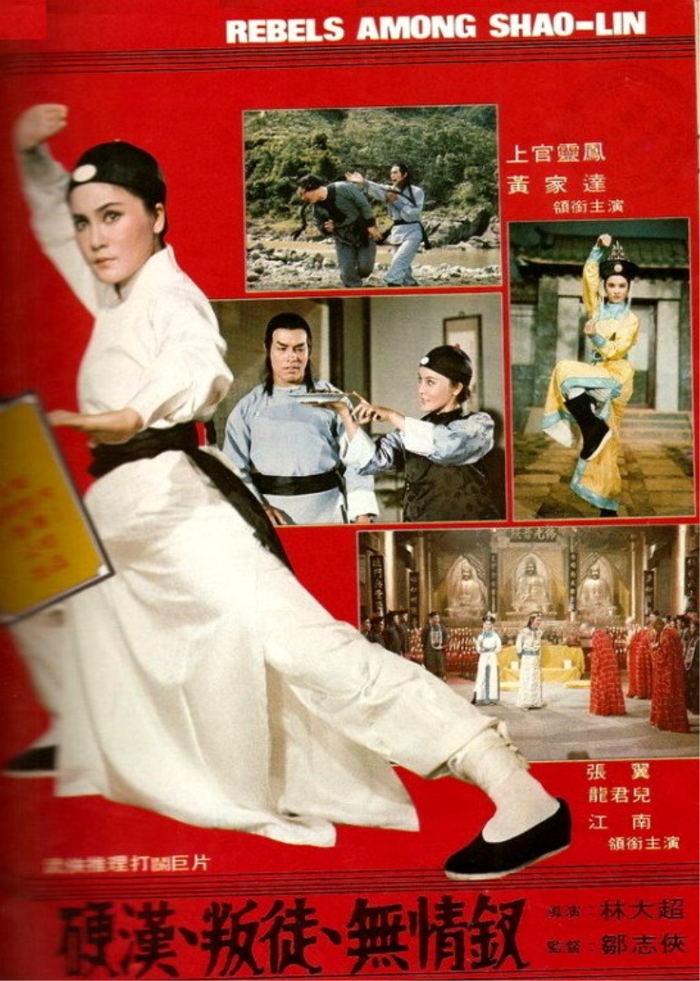 少林叛徒海报