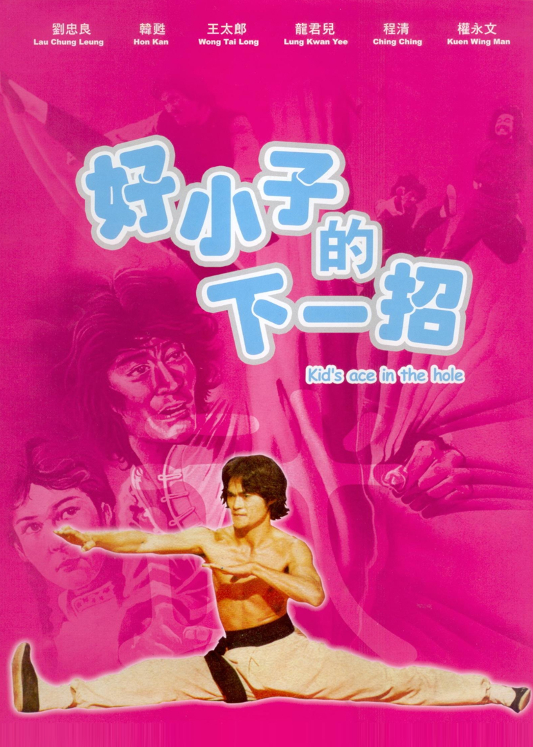 好小子的下一招海报
