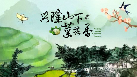 兴隆山下菜花香海报