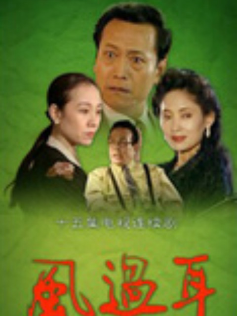 风过耳海报