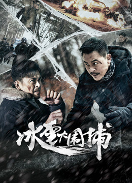 冰雪大围捕海报