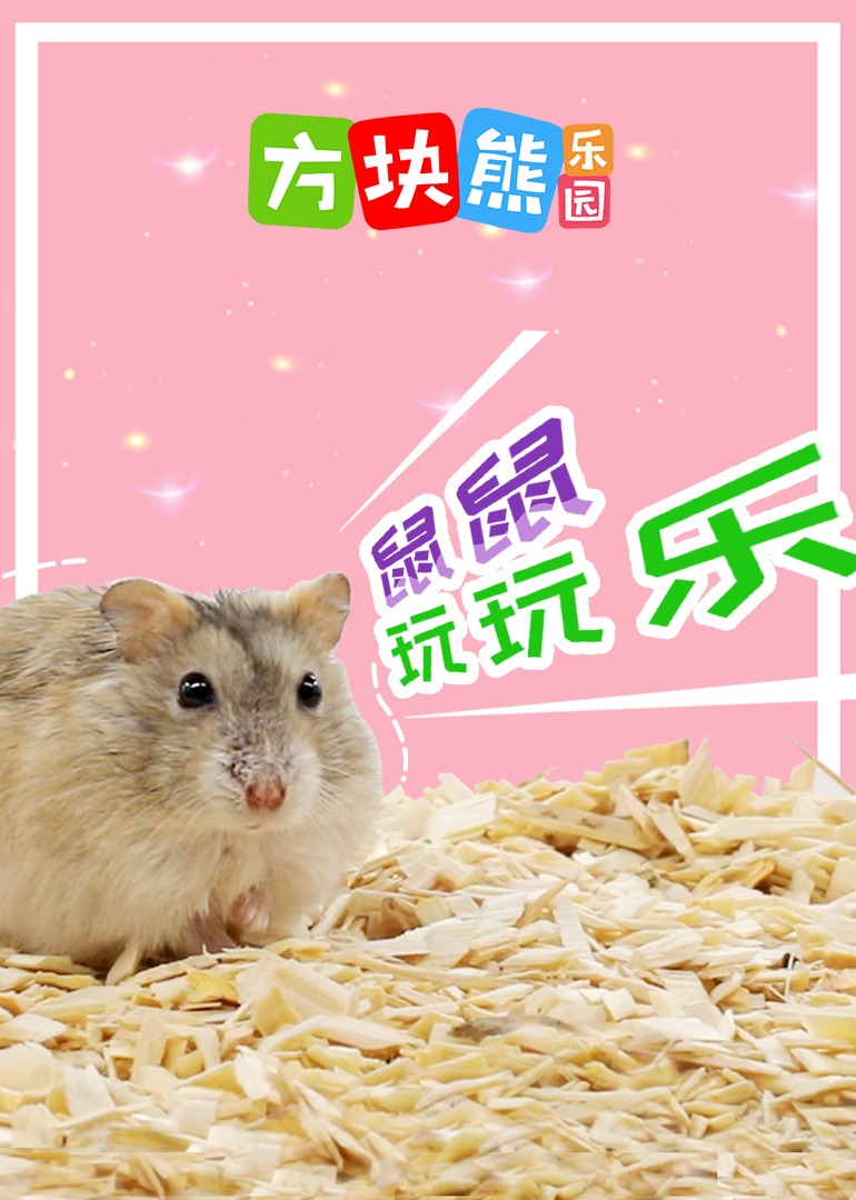 方块熊鼠仔玩玩乐海报