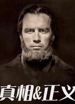 真相与正义海报