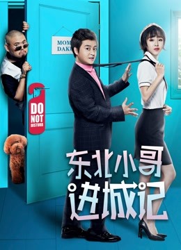东北小哥进城记海报