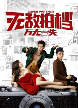 无敌拍档之万无一失海报