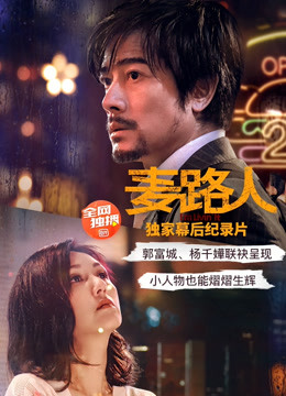 麦路人·纪录片海报