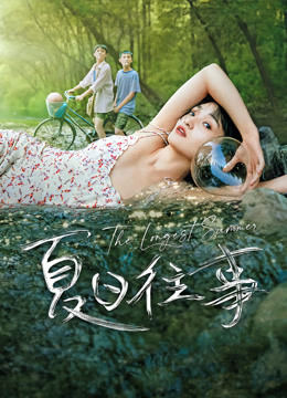 夏日往事海报