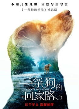 一条狗的回家路（普通话）海报