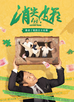 消失的皮箱海报