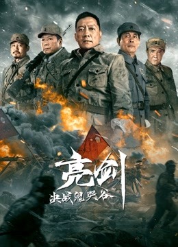 亮剑：决战鬼哭谷海报