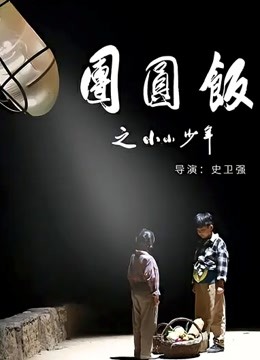 团圆饭之小小少年海报