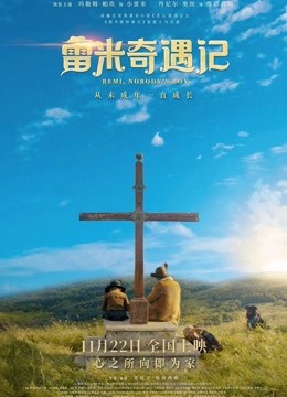 雷米奇遇记（普通话）海报