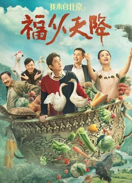 我来自北京之福从天降海报