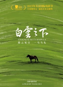 白云之下海报