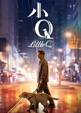 小Q（无障碍解说版）海报