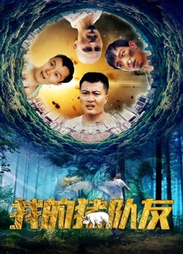 我的猪队友海报