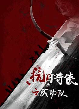 抗日奇侠之武功队海报