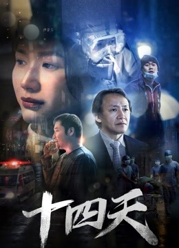 十四天海报