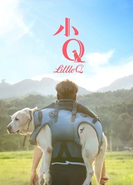 小Q（粤语）海报