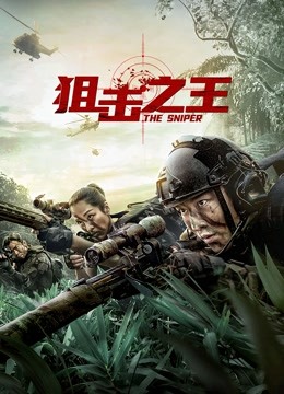 狙击之王海报