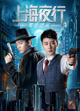 上海夜行1黑金迷案海报