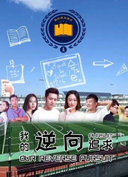 我的逆向追求海报