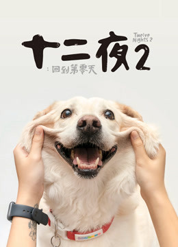十二夜2：回到第零天海报