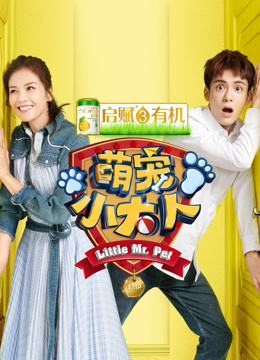 萌宠小大人海报