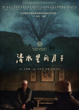 清水里的刀子海报