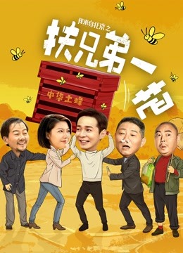 我来自北京之扶兄弟一把海报