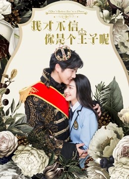 我才不信你是个王子呢海报