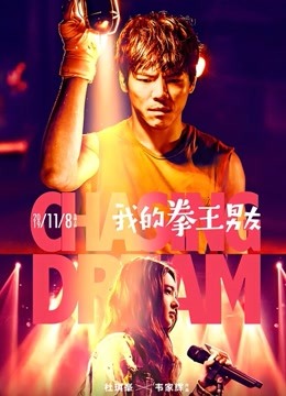 我的拳王男友海报