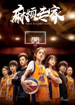 麻烦专家海报